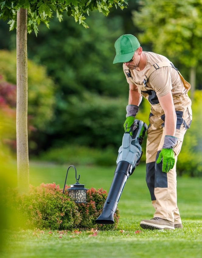 Top Features of Our Lawn Cleaning Services in Paw Paw, MI